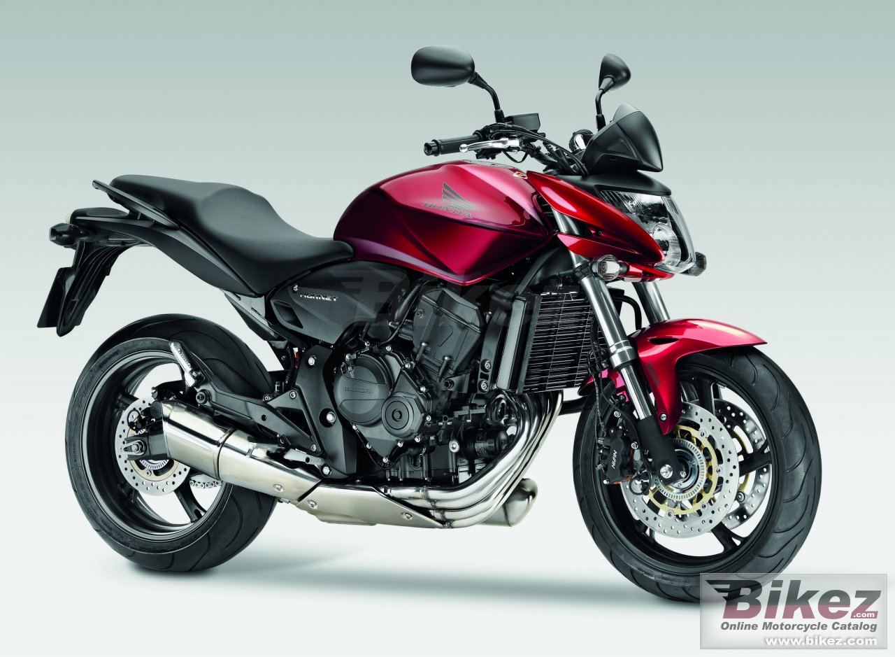Big Honda cb600f hornet picture and wallpaper from Bikez.com